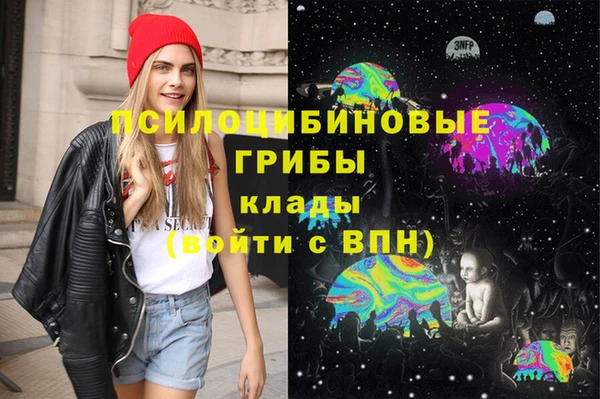 2c-b Армянск