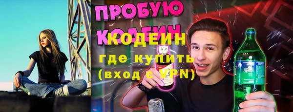 мяу мяу мука Аркадак