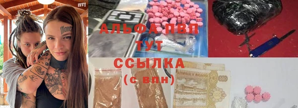 мяу мяу мука Аркадак