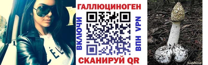 OMG зеркало  Арсеньев  Галлюциногенные грибы Magic Shrooms 